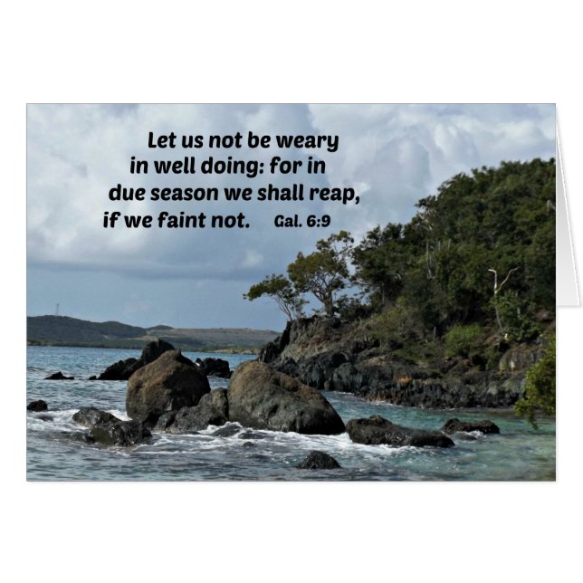 Galations 6:9 Let us not be weary in well doing (Front Horizontal)