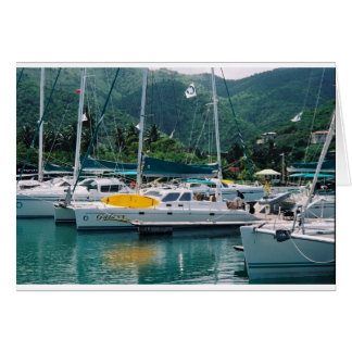 Galaxy at Nanny Cay-Tortola