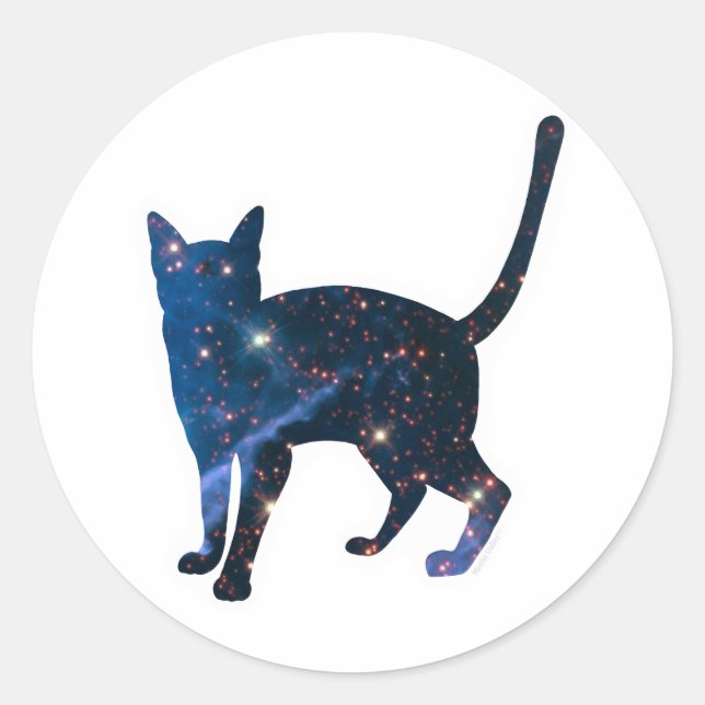 Galaxy Cat Sticker (Front)