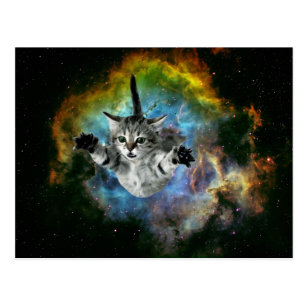 Galaxy Cat Universe Kitten Launch Postcard