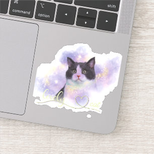 Galaxy Lovely Cat