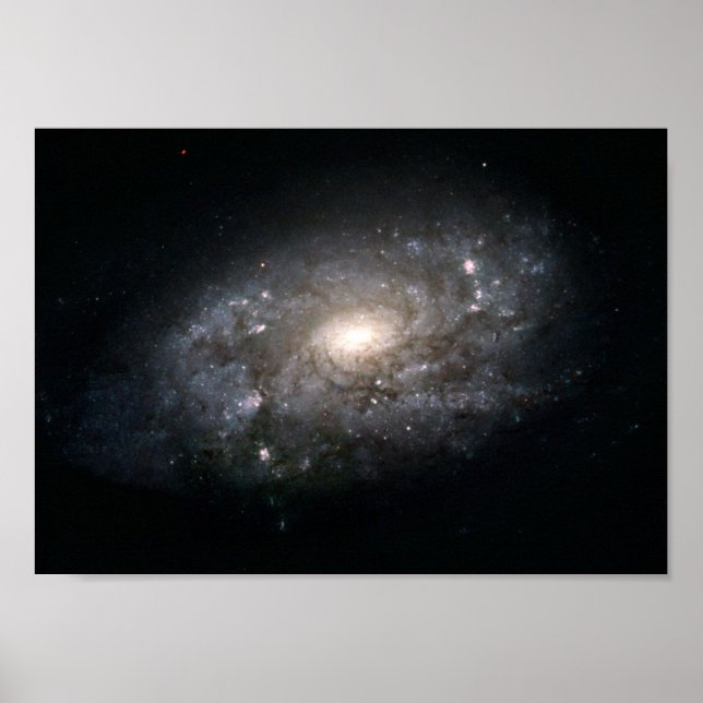 Galaxy NGC 3949: A Galaxy Similar to the Milky Way Poster (Front)