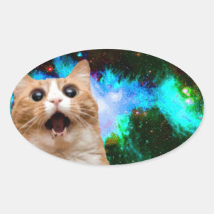 GALAXY SPACE CAT OVAL STICKER
