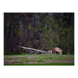 "Gale Pushed Me" Photo Print