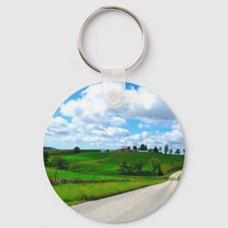 Galena Key Ring