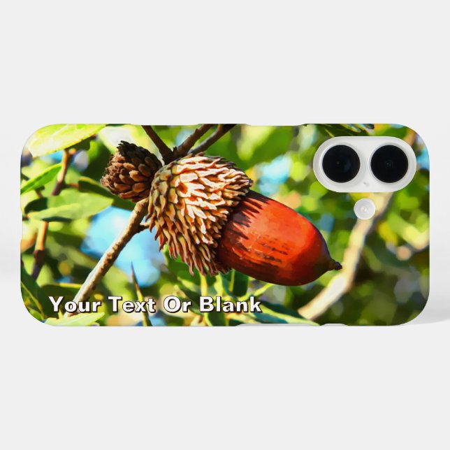 Galilee Acorn Case-Mate iPhone Case (Back (Horizontal))