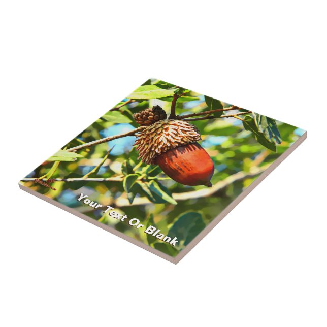 Galilee Acorn Ceramic Tile (Side)