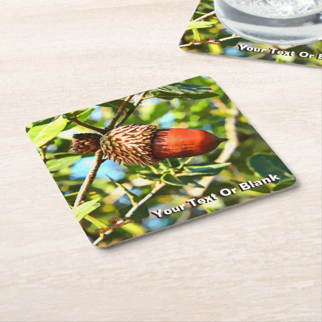 Galilee Acorn Square Paper Coaster (Angled)