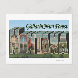 Gallatin Nat'l Forest, Montana Postcard