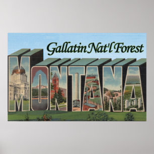 Gallatin Nat'l Forest, Montana Poster
