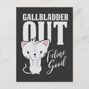 Gallbladder Feline Good Surgery Recovery Cat Lover Postcard