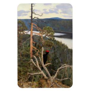 Gallen-Kallela - Great Black Woodpecker 1894 Magnet