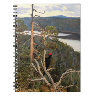 Gallen-Kallela - Great Black Woodpecker 1894 Notebook