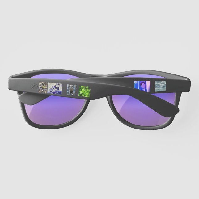 Gallery Sunglasses (Back)