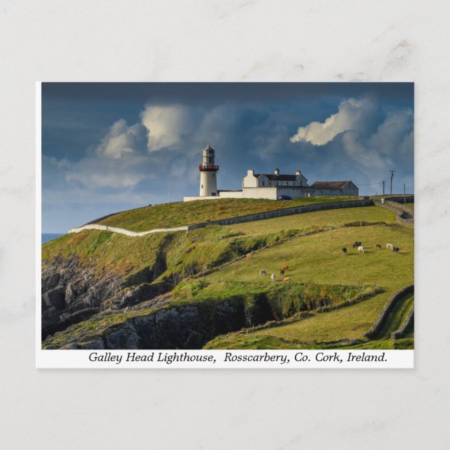 Galley Head Lighthouse, County Cork, Ireland Postcard (Front)