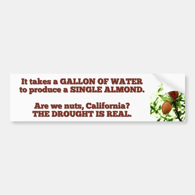 Gallon of Water California Drought Bumper Sticker (Front)
