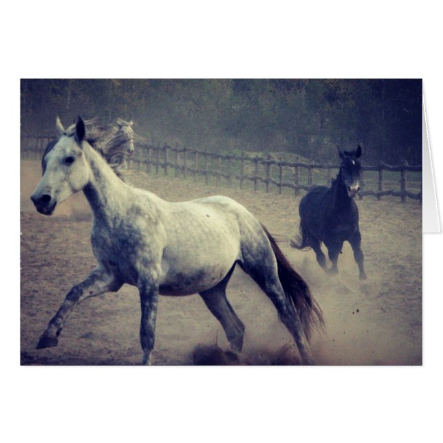 Gallop (Front Horizontal)