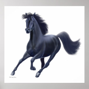 Galloping Black Horse Print