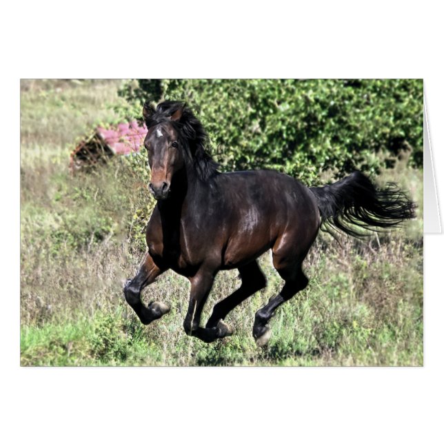 Galloping Chestnut Horse (Front Horizontal)