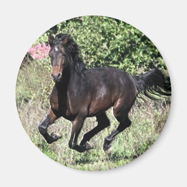 Galloping Chestnut Horse Magnet (Front)