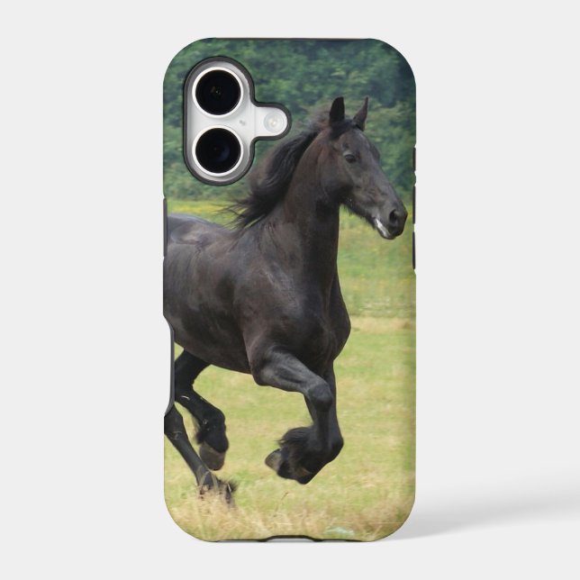 Galloping Friesian Horses (Back)