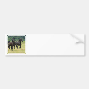 Galloping Friesian Horses Bumper Sticker