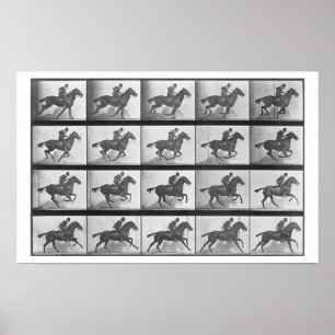Galloping Horse, plate 628 from 'Animal Locomotion Poster