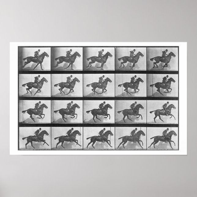 Galloping Horse, plate 628 from 'Animal Locomotion Poster (Front)