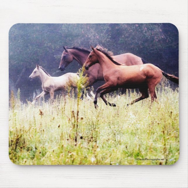 Galloping Horses Photography Mouse Pad (Front)