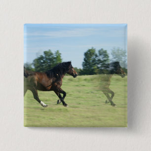 Galloping Mustangs Square Pin