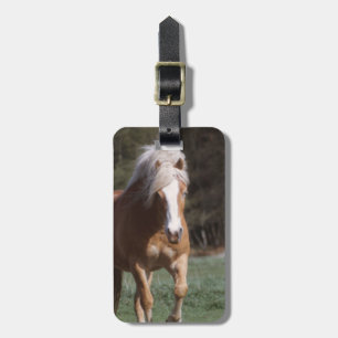 Galloping Palomino Luggage Tag