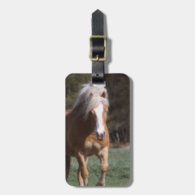 Galloping Palomino Luggage Tag (Front Vertical)
