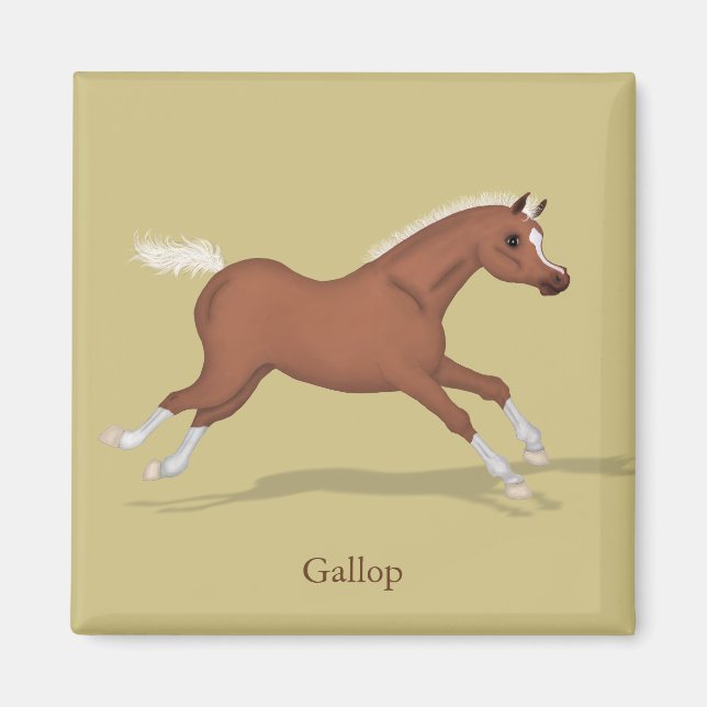 Galloping Sorrel Foal Gaits of the Horse Magnet (Front)