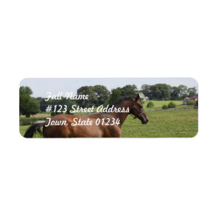 Galloping Thoroughbred  Mailing Labels