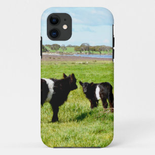 Galloway Cow Babies, iPhone 11 Case