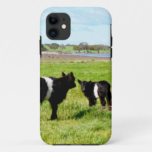 Galloway Cow Babies, Case-Mate iPhone Case (Back)