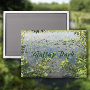 Gallup Park In Ann Arbor Magnet