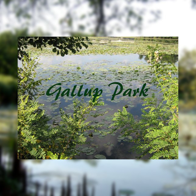Gallup Park In Ann Arbor Postcard (Creator Uploaded)