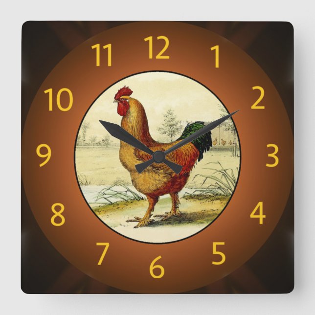 Gallus Domesticus (Rooster) Kitchen -  Square Wall Clock (Front)