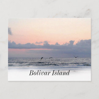 Galveston beach Bolivar Island Postcard