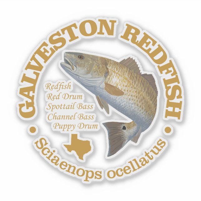 Galveston (redfish) (Front)
