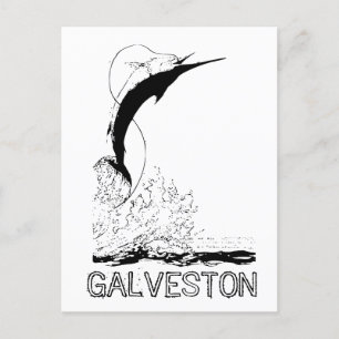 Galveston, TX Sportfishing Postcard