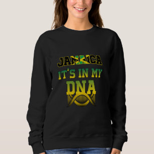 Gamaica It's In My DNA With Jamaican Flag Funny DN Sweatshirt