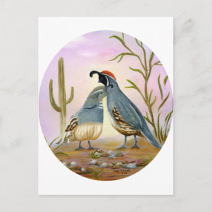 Gambel Quails Postcard