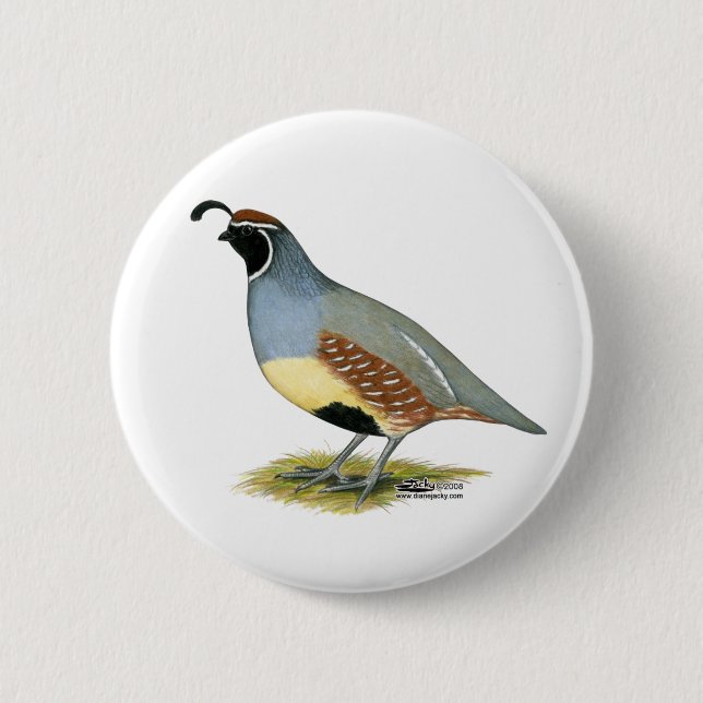 Gambel's Desert Quail 6 Cm Round Badge (Front)