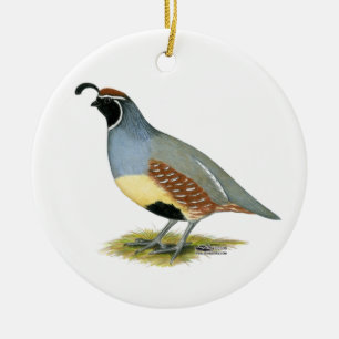 Gambel's Desert Quail Ceramic Tree Decoration