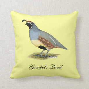 Gambel's Desert Quail Cushion