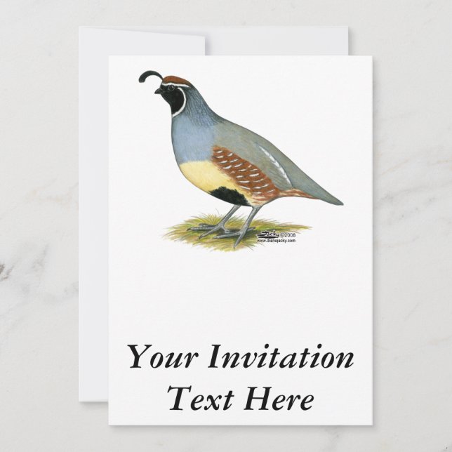 Gambel's Desert Quail Invitation (Front)