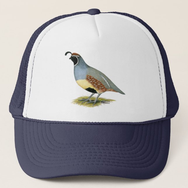 Gambel's Desert Quail Trucker Hat (Front)