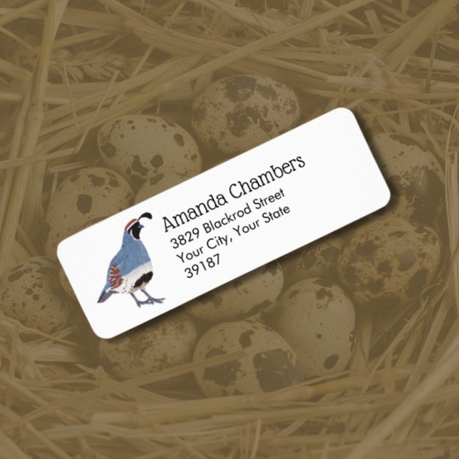 Gambel's Quail Bird Illustration Return Address Label (Creator Uploaded)